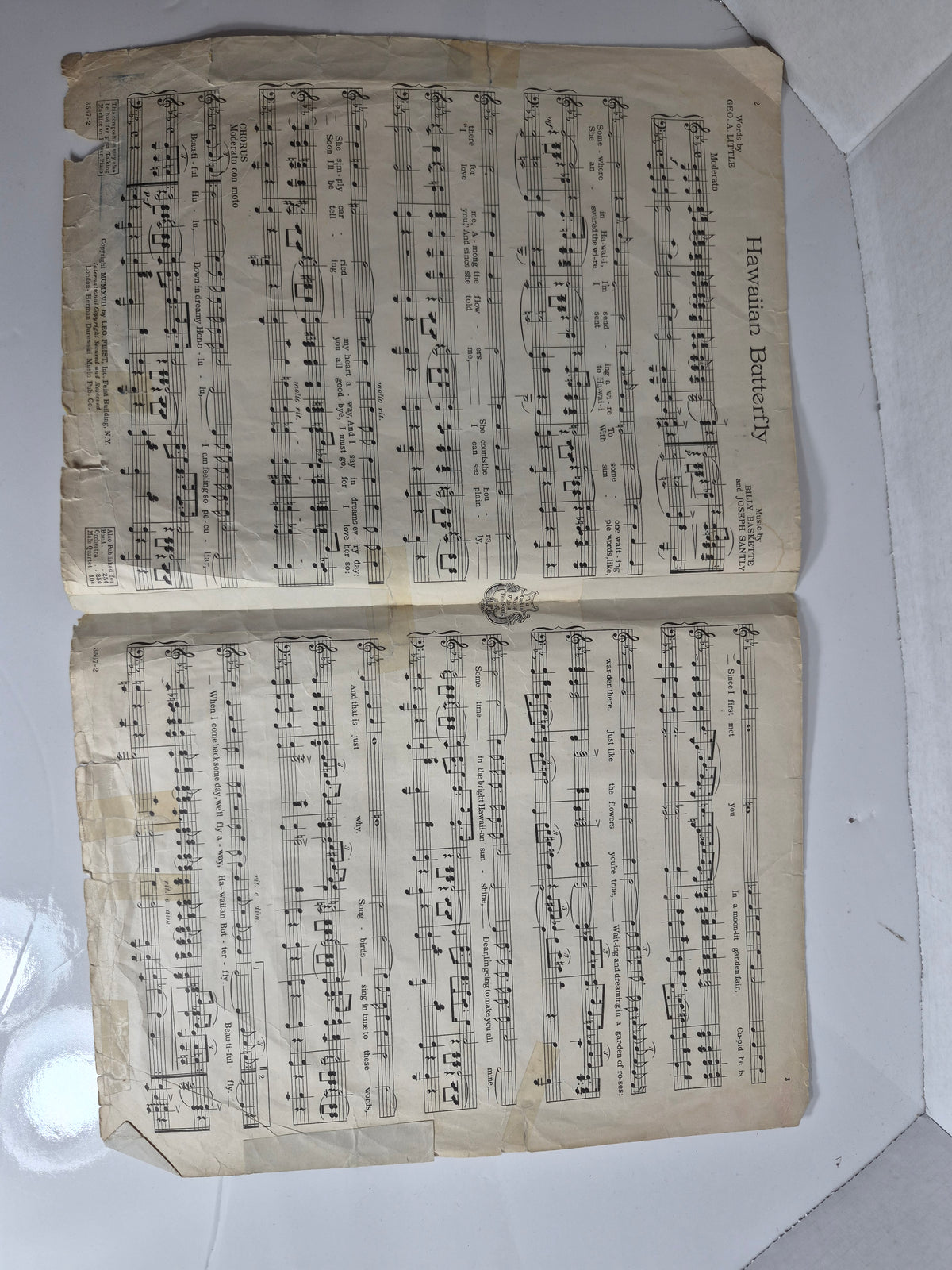 1917 "Hawaiian Butterfly" Sheet Music – Leo Feist, New York – 10.5 x 13.5 in.