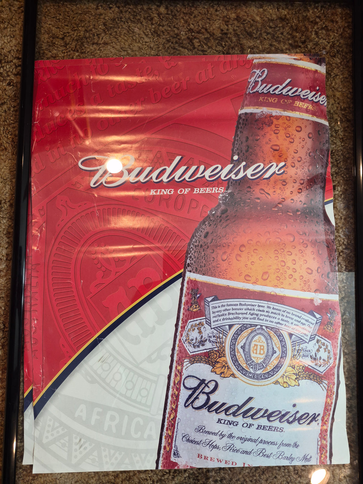 Budweiser King of Beers Bottle Beer Poster 18 x 24 in. — Longbranch Saloon Drumheller
