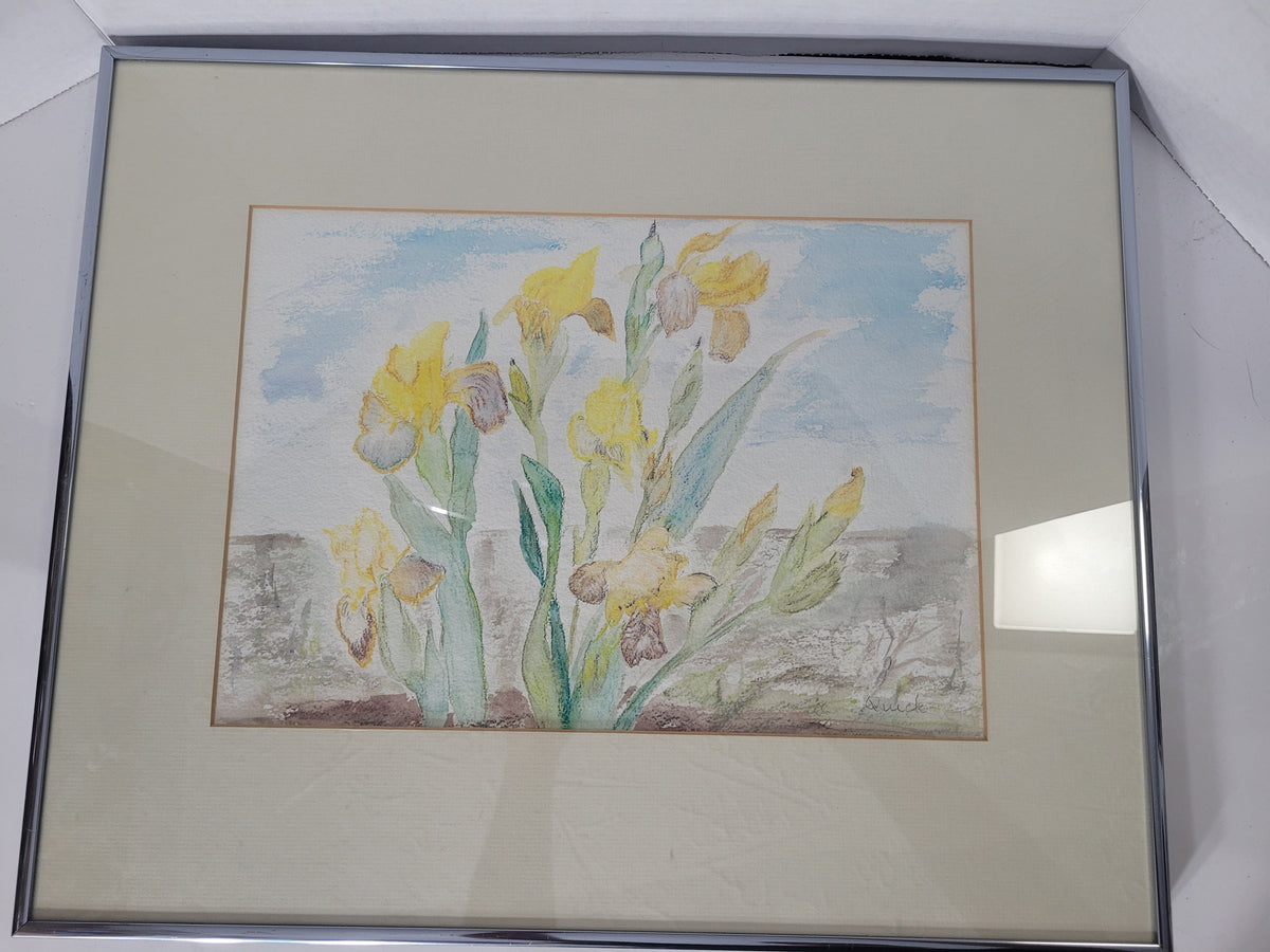 Quick Signed Saskatoon Artist Yellow Iris Watercolour – Framed 19.5" × 16"