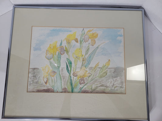 Quick Signed Saskatoon Artist Yellow Iris Watercolour – Framed 19.5" × 16"