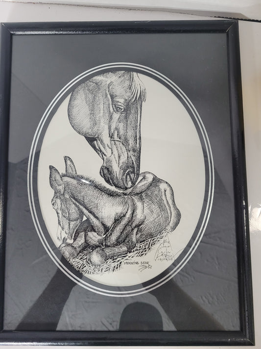 Steve Carter “Morning Star” Horse & Foal Pen & Ink Print – Limited Edition 350/550 – 10.5" x 14"