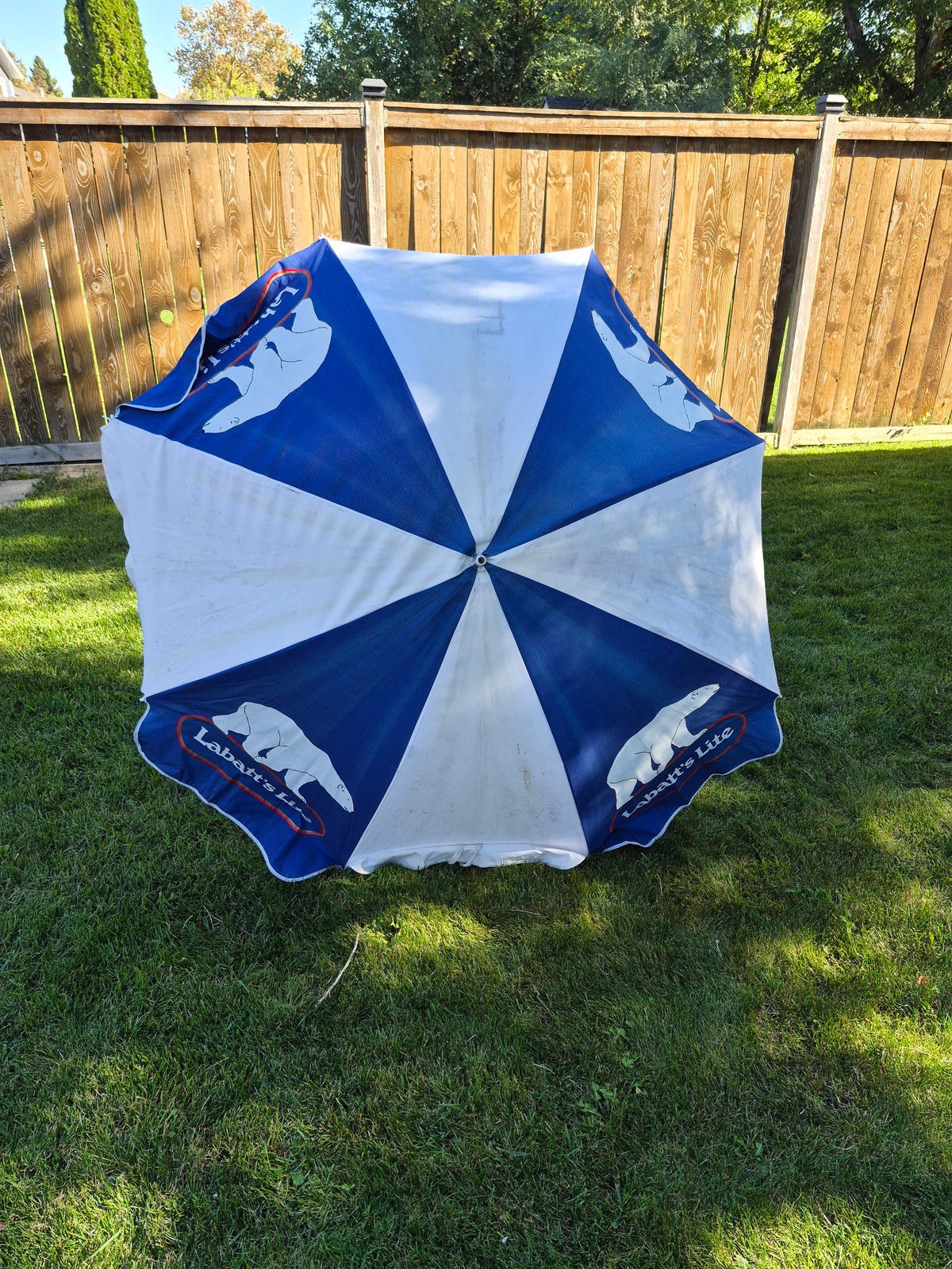 Vintage Labatt’s Lite Polar Bear Beer Beach Patio Umbrella – 80" x 60"