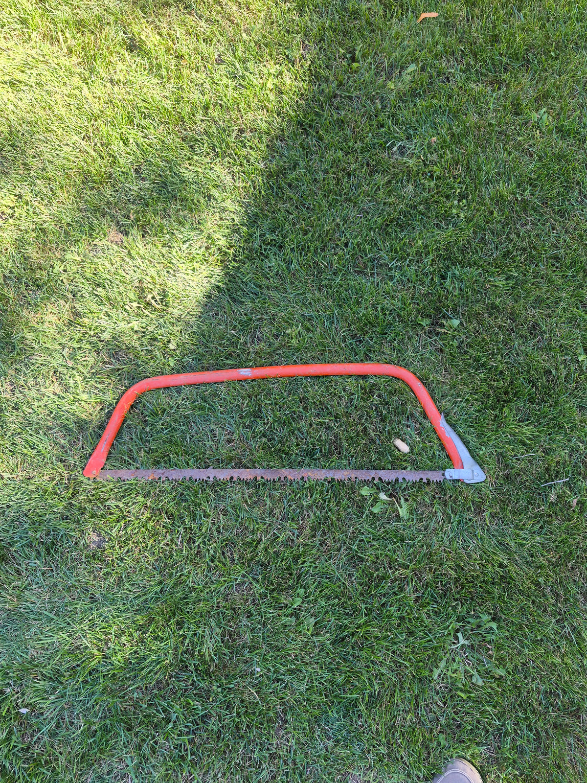 Vintage Red Metal Bow Saw / Buck Saw – 33" x 10" – Rustic Logging Tool