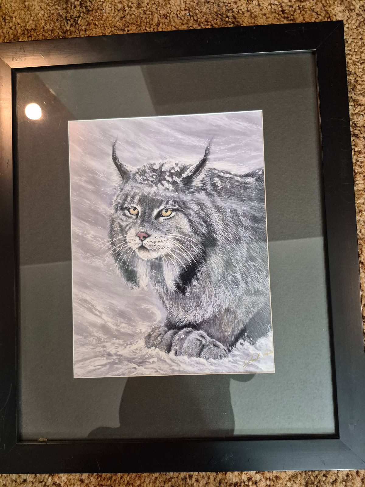 Gail Adams Framed Lynx Print – Signed Winter Wildlife Art – 16 x 20 in.
