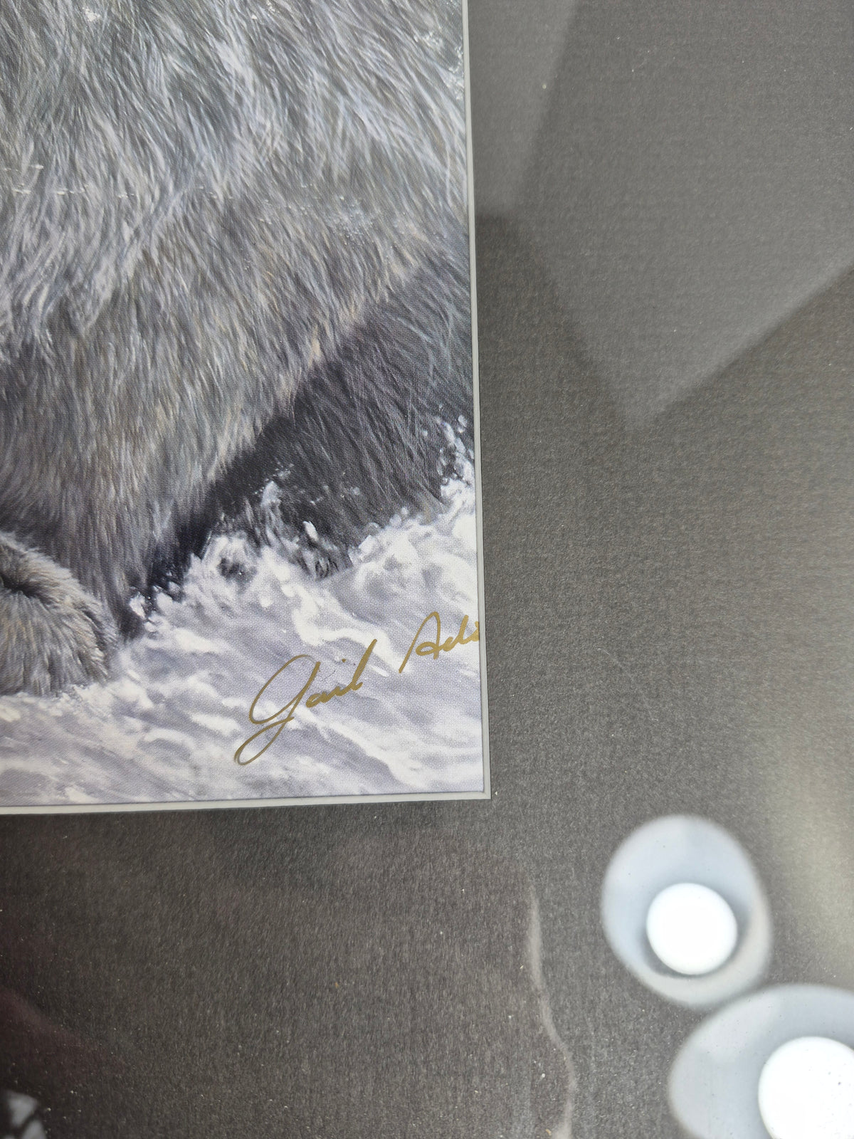 Gail Adams Framed Lynx Print – Signed Winter Wildlife Art – 16 x 20 in.