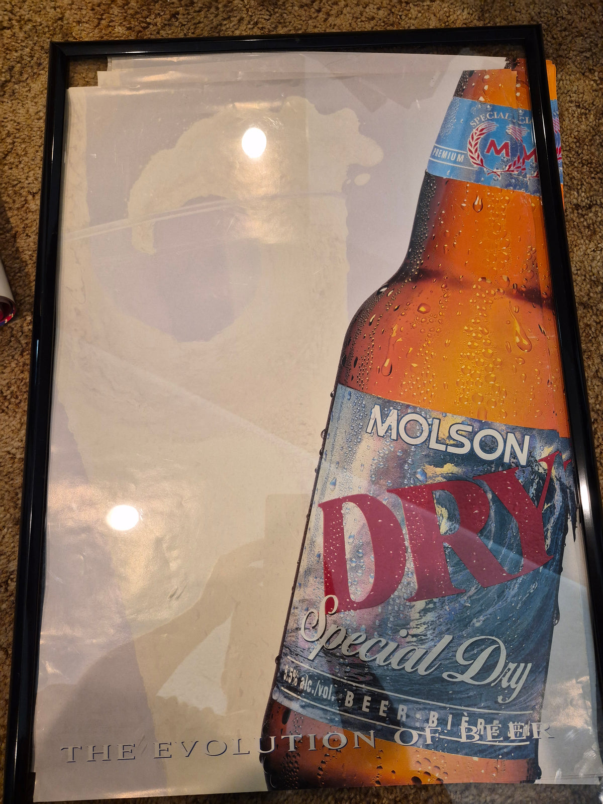 Molson Special Dry "The Evolution of Beer" Poster 19 x 27 in. — Longbranch Saloon Drumheller
