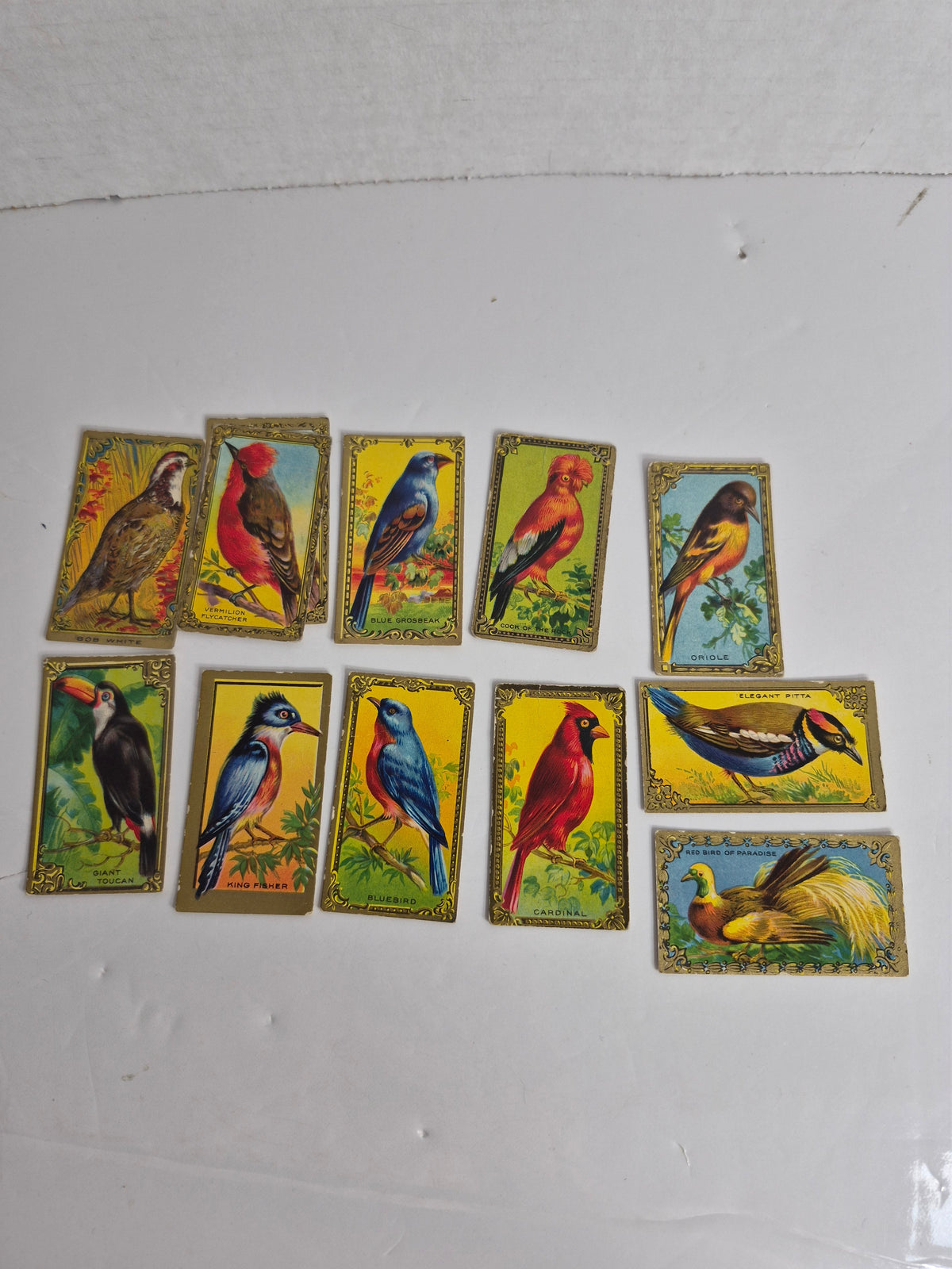 Imperial Tobacco Game Bird Series Cards – Lot of 11 Different – 1920s Canadian Tobacco Cards – Cardinal, Toucan, Kingfisher & More