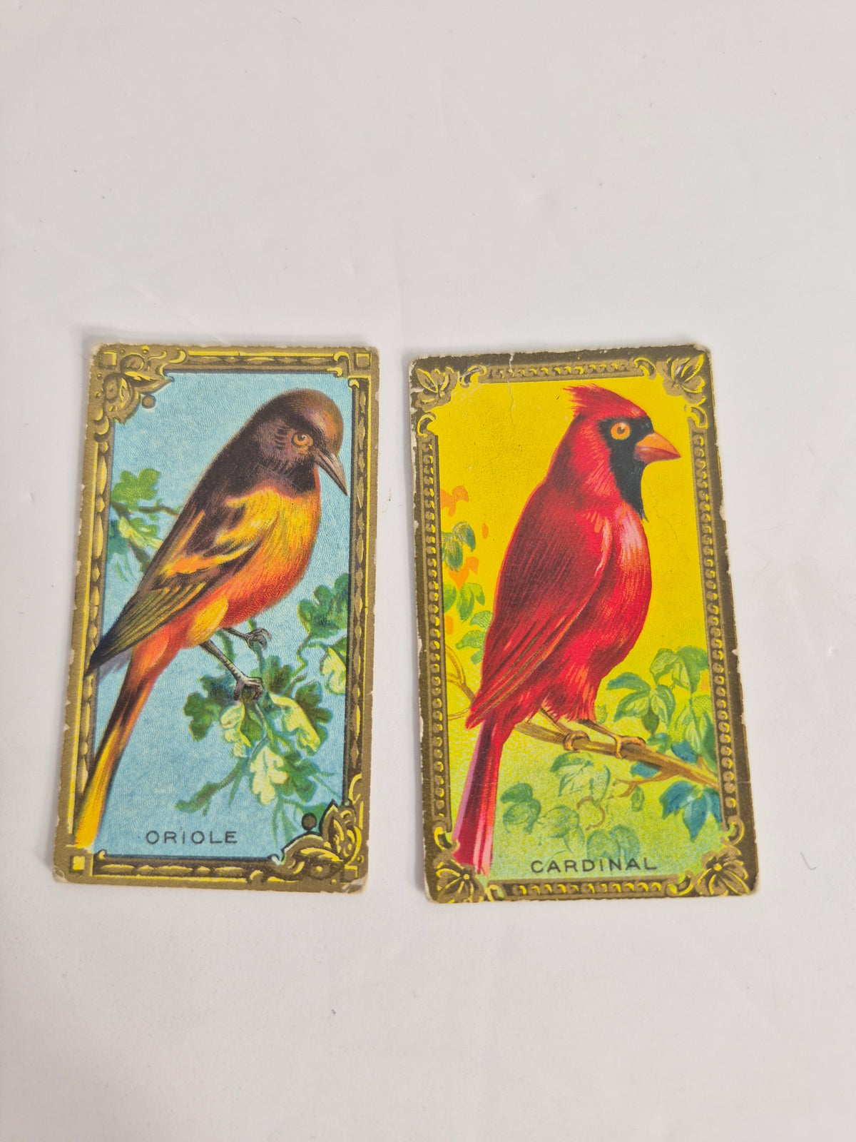 Imperial Tobacco Game Bird Series Cards – Lot of 11 Different – 1920s Canadian Tobacco Cards – Cardinal, Toucan, Kingfisher & More