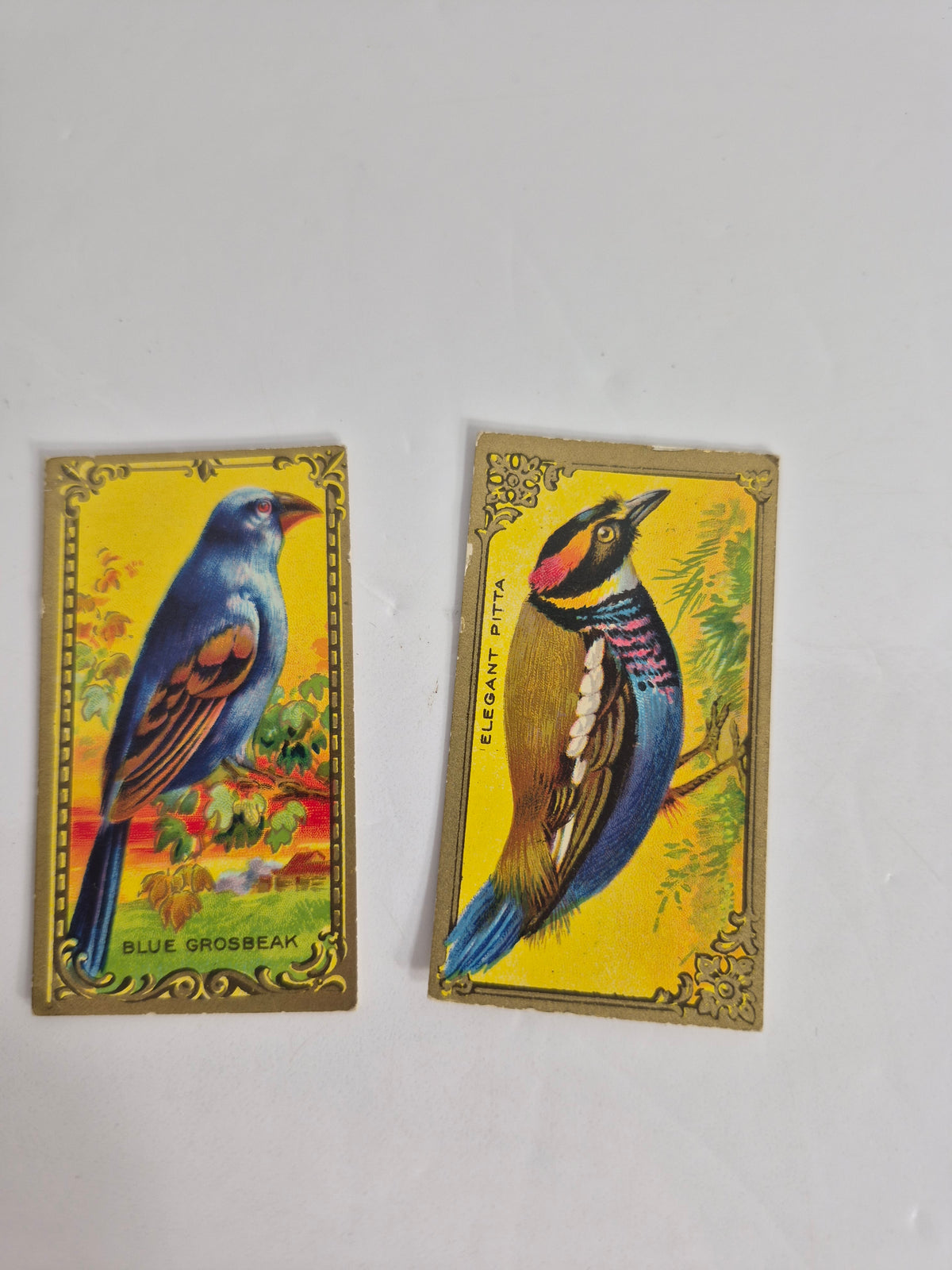 Imperial Tobacco Game Bird Series Cards – Lot of 11 Different – 1920s Canadian Tobacco Cards – Cardinal, Toucan, Kingfisher & More