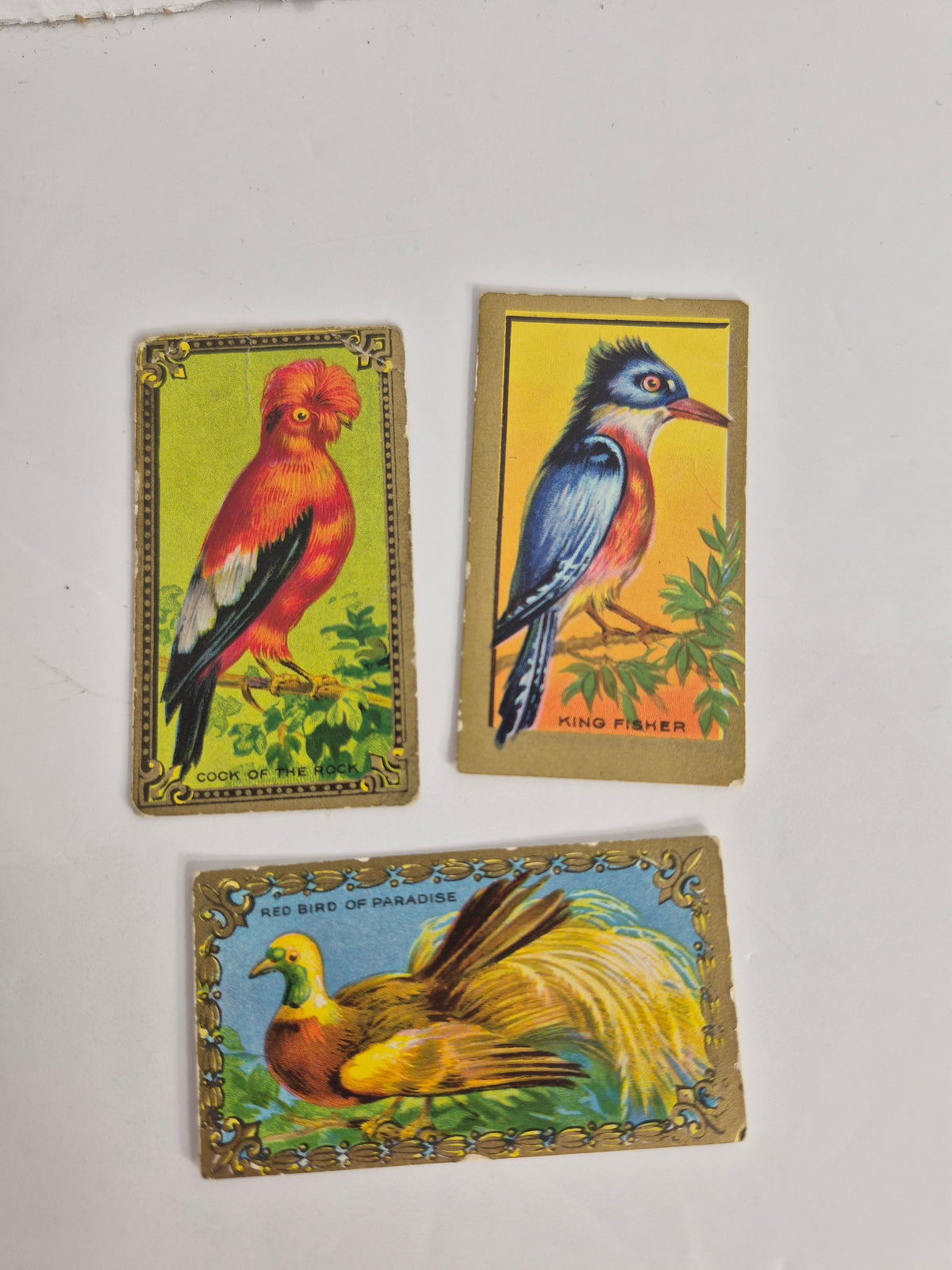 Imperial Tobacco Game Bird Series Cards – Lot of 11 Different – 1920s Canadian Tobacco Cards – Cardinal, Toucan, Kingfisher & More